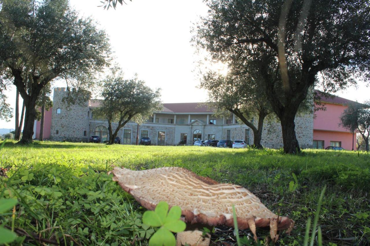 Palace Hotel & Spa Termas De Sao Tiago Penamacor Εξωτερικό φωτογραφία